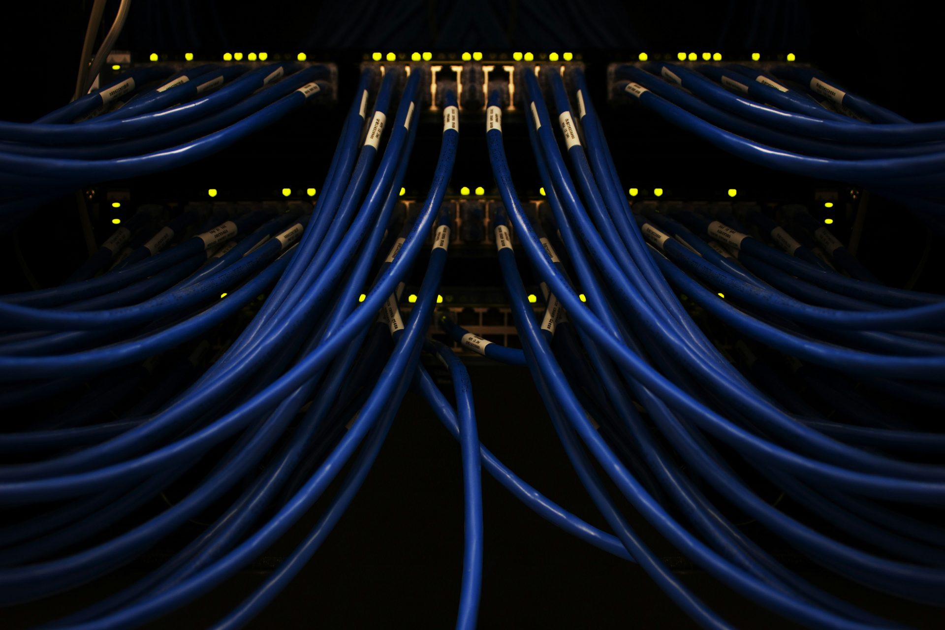 Blaue eingesteckte Kabel an einem Gerät, Buelicom